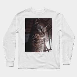 cat Long Sleeve T-Shirt